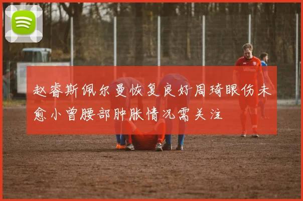 赵睿斯佩尔曼恢复良好周琦眼伤未愈小曾腰部肿胀情况需关注