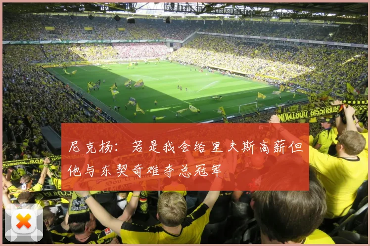 尼克杨：若是我会给里夫斯高薪但他与东契奇难夺总冠军