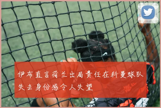 伊布直言荷兰出局责任在科曼球队失去身份感令人失望